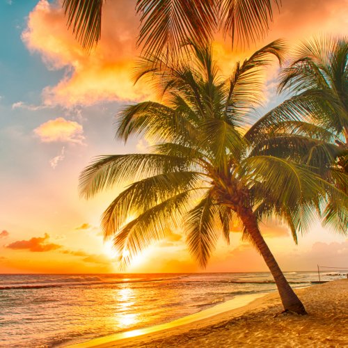 Aruba Weather Real Customer Reviews Of The Weather In Aruba
